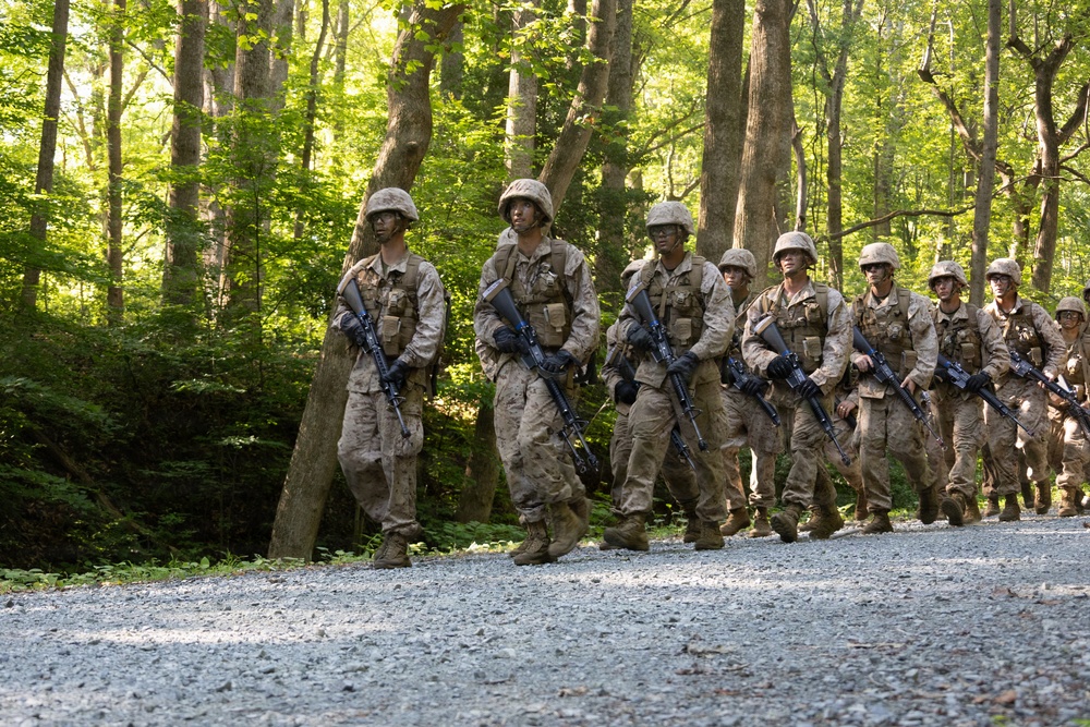 Lima Company Conduct Forge