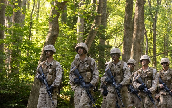 Lima Company Conduct Forge