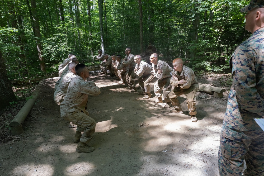 Lima Company Conduct Forge