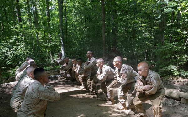 Lima Company Conduct Forge