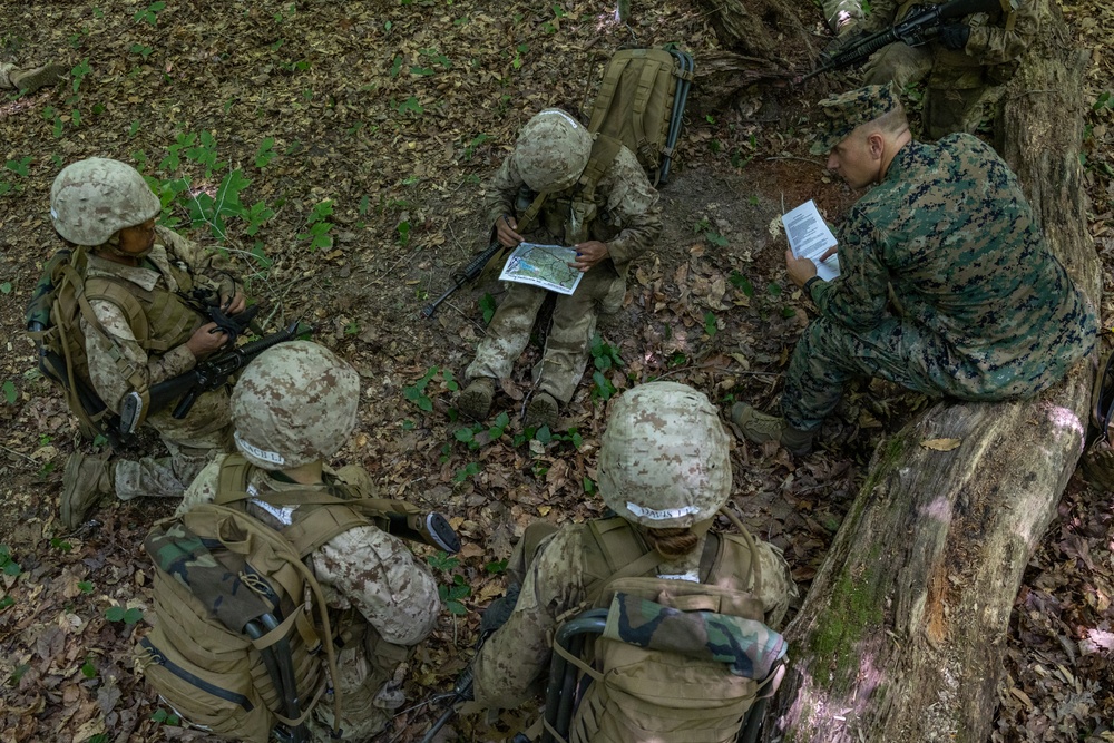 Lima Company Conduct Forge