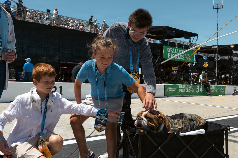 NASCAR Hosts Race on Naval Base Coronado