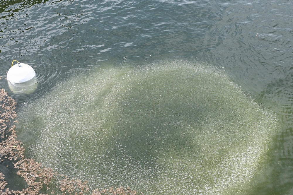 USACE innovations increase fish survivability on the Snake and Columbia rivers