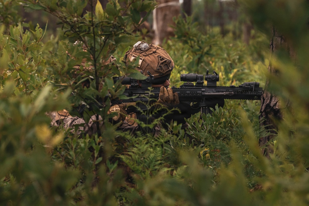 Fleet Exercise 250 | Multilateral Company Live-Fire Range
