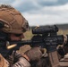 Fleet Exercise 250 | Multilateral Company Live-Fire Range