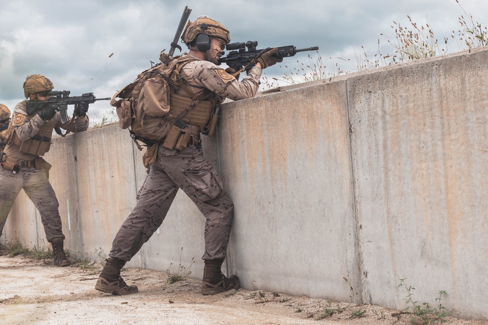 Fleet Exercise 250 | Multilateral Company Live-Fire Range