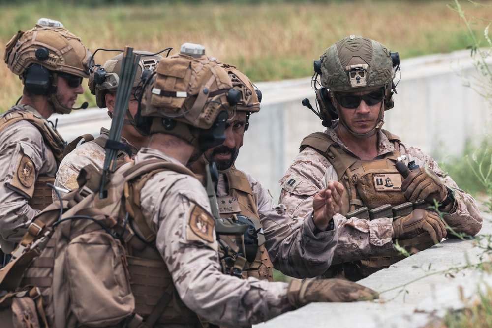 Fleet Exercise 250 | Multilateral Company Live-Fire Range