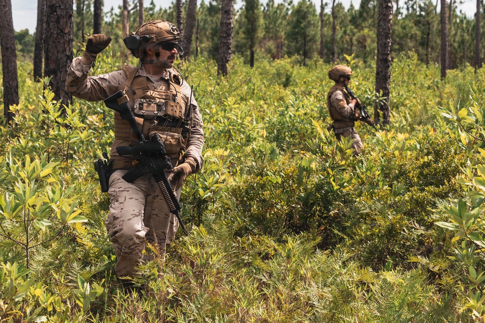 Fleet Exercise 250 | Multilateral Company Live-Fire Range