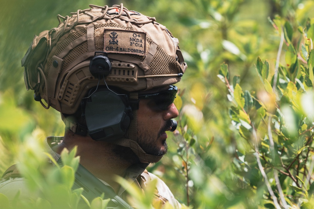 Fleet Exercise 250 | Multilateral Company Live-Fire Range