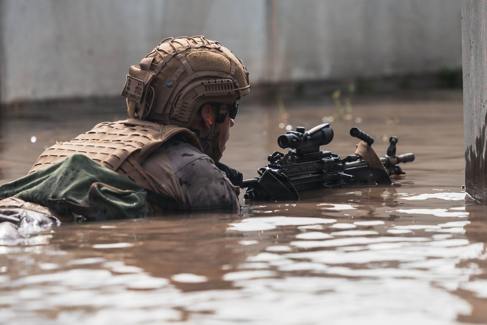 Fleet Exercise 250 | Multilateral Company Live-Fire Range