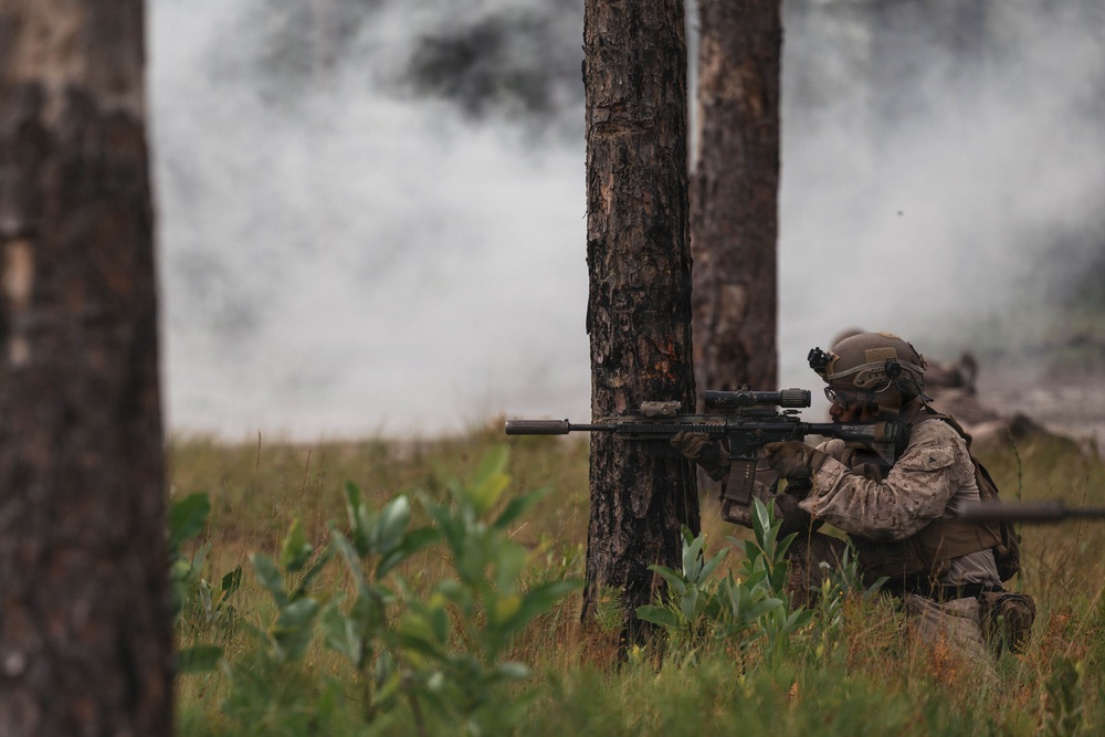 Fleet Exercise 250 | Multilateral Company Live-Fire Range