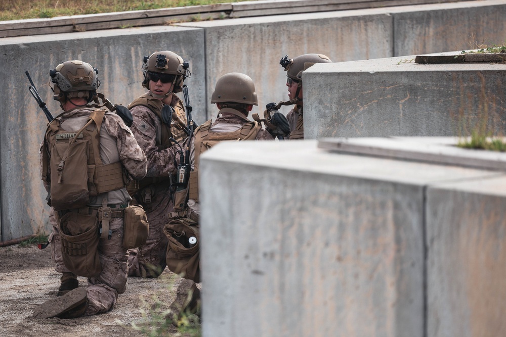 Fleet Exercise 250 | Multilateral Company Live-Fire Range