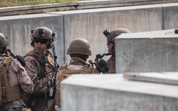 Fleet Exercise 250 | Multilateral Company Live-Fire Range