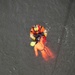 Air Station Kodiak conducts inland search and rescue training