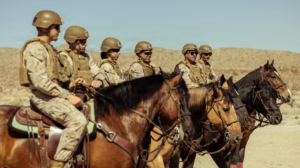 JTF-SB Marines, U.S. Border Patrol saddle-up during interagency training