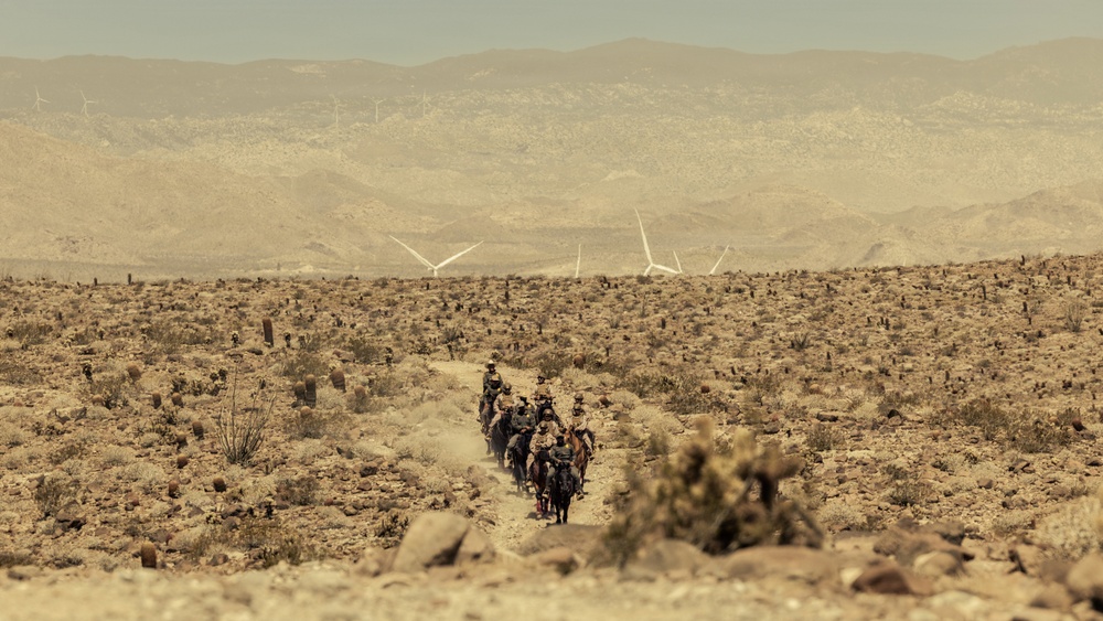 JTF-SB Marines, U.S. Border Patrol saddle-up during interagency training