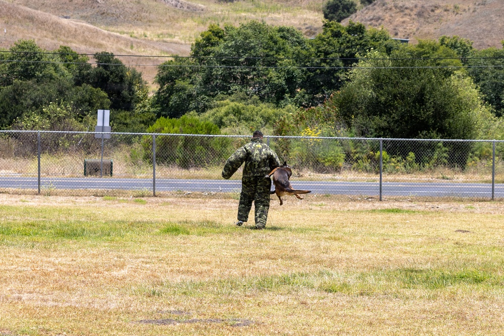 U.S. Marines with 1st Bn., 11th Marine regiment participate in Family Day