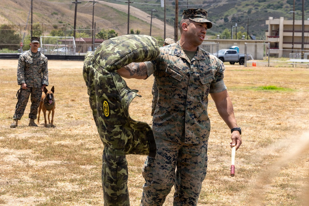 U.S. Marines with 1st Bn., 11th Marine regiment participate in Family Day