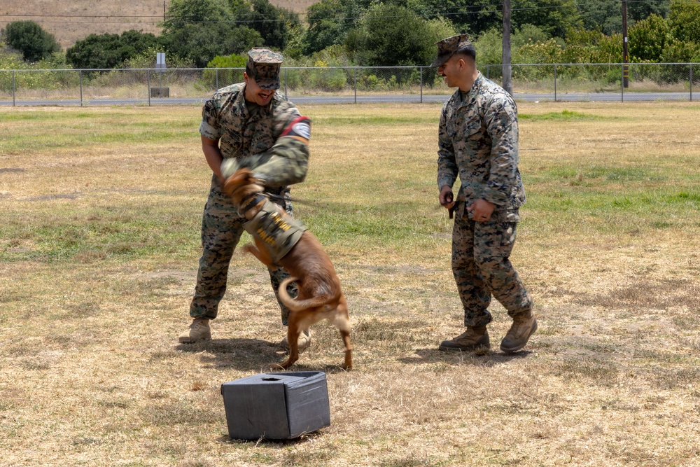U.S. Marines with 1st Bn., 11th Marine regiment participate in Family Day