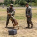 U.S. Marines with 1st Bn., 11th Marine regiment participate in Family Day