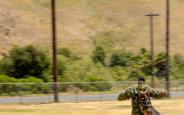 U.S. Marines with 1st Bn., 11th Marine regiment participate in Family Day