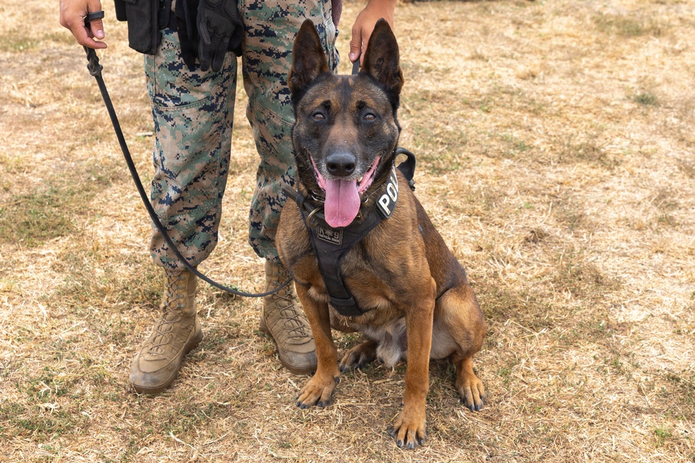 U.S. Marines with 1st Bn., 11th Marine regiment participate in Family Day