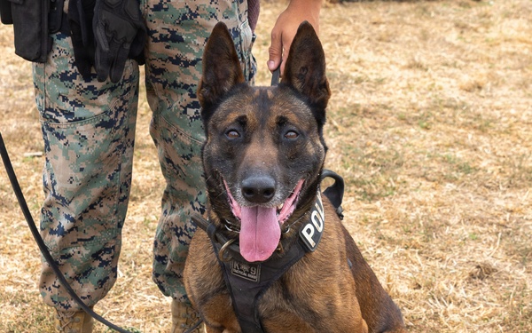 U.S. Marines with 1st Bn., 11th Marine regiment participate in Family Day