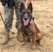 U.S. Marines with 1st Bn., 11th Marine regiment participate in Family Day