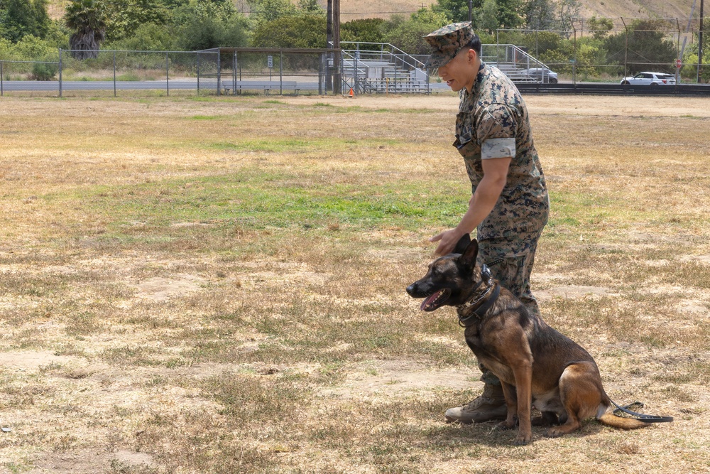 U.S. Marines with 1st Bn., 11th Marine regiment participate in Family Day
