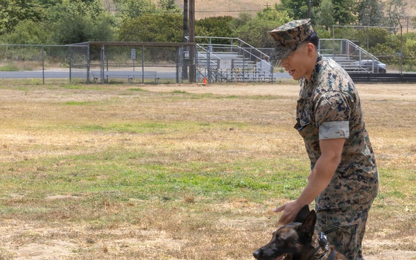 U.S. Marines with 1st Bn., 11th Marine regiment participate in Family Day