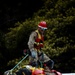 Redwoods Innovative Readiness Training Project Strengthens Joint Readiness and Community Resilience