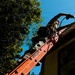 Redwoods Innovative Readiness Training Project Strengthens Joint Readiness and Community Resilience