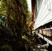 Redwoods Innovative Readiness Training Project Strengthens Joint Readiness and Community Resilience