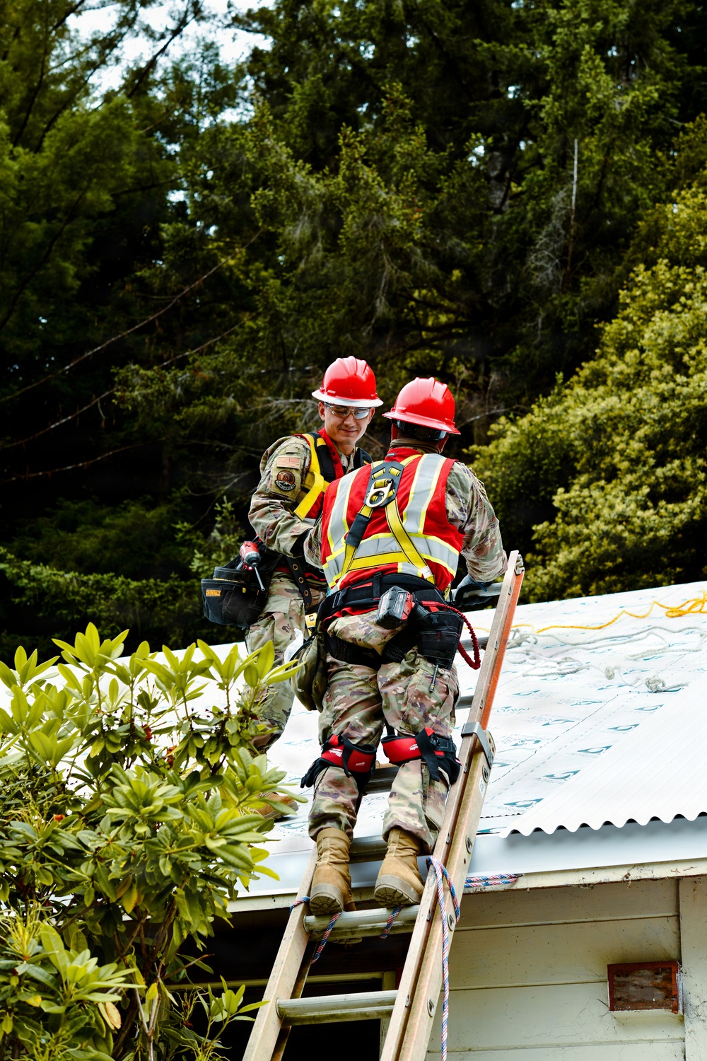 Redwoods Innovative Readiness Training Project Strengthens Joint Readiness and Community Resilience
