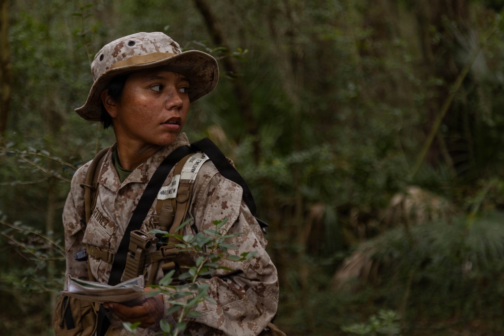 November Company Land Navigation