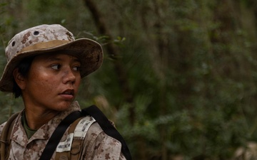 November Company Land Navigation