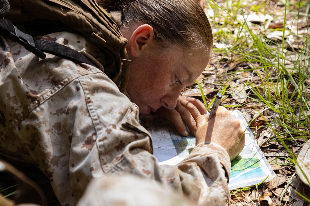 November Company Land Navigation