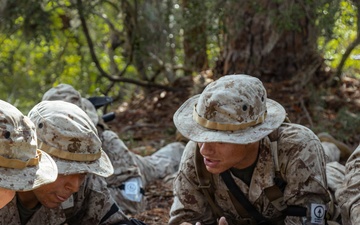 November Company Land Navigation