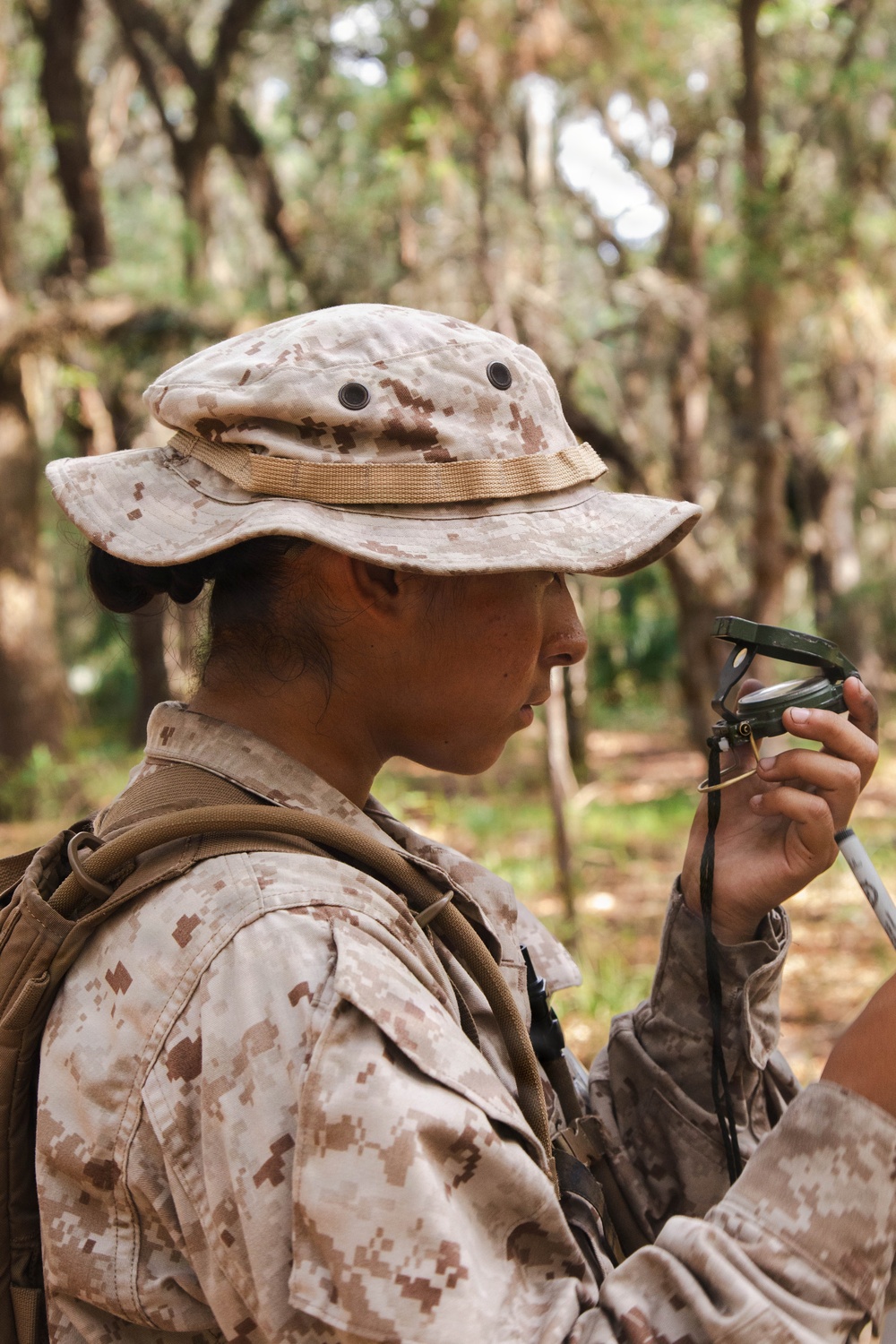 November Company Land Navigation