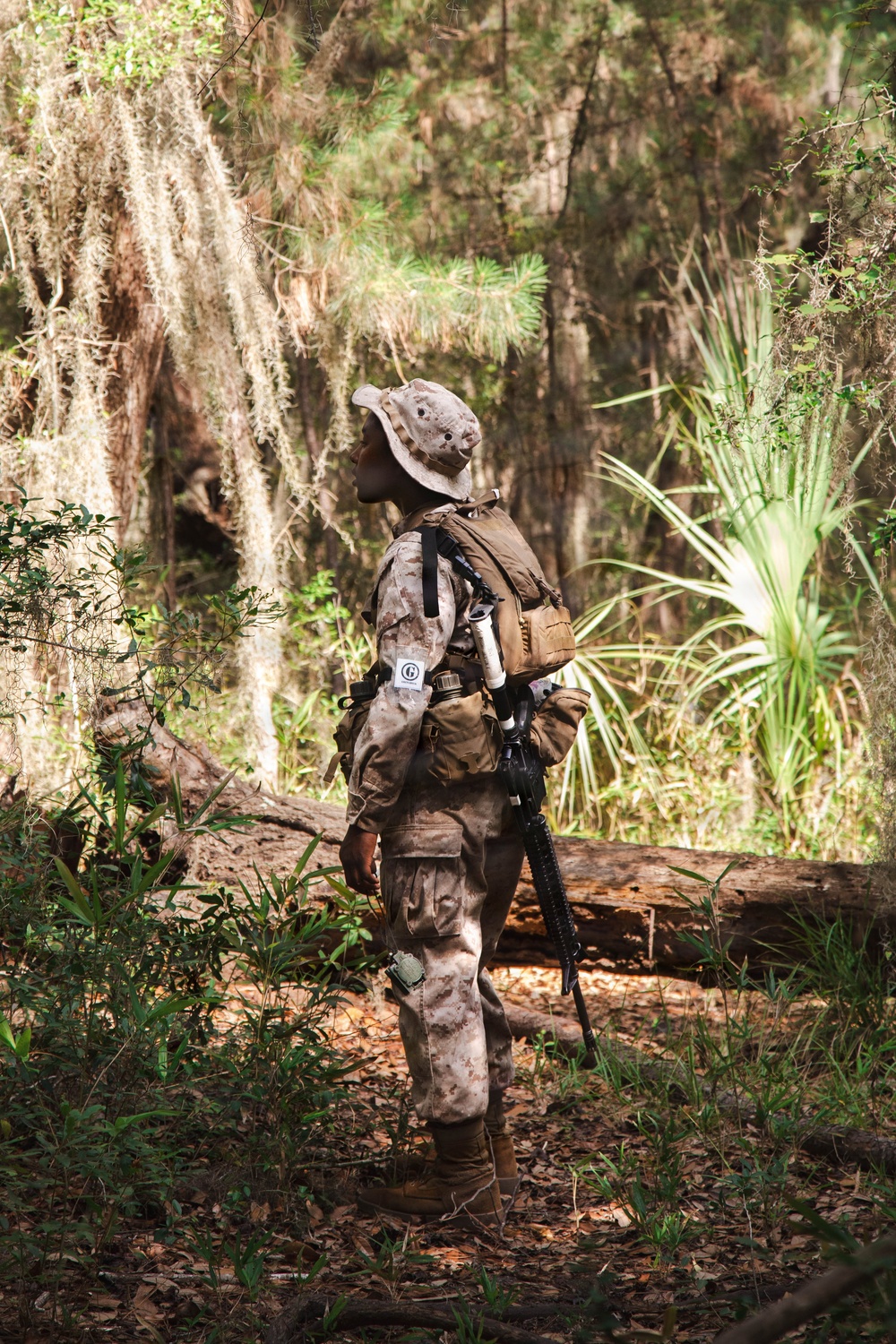 November Company Land Navigation