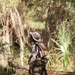 November Company Land Navigation