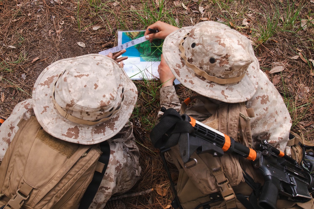 November Company Land Navigation