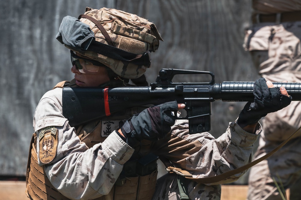Fleet Exercise 250 | Multinational Urban Breaching