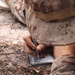 November Company Land Navigation