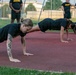 HHC, 207th Military Intelligence Brigade (Theater) conducts historical Women’s Army Corps Physical Fitness Test (WAC) during Army Heritage Month