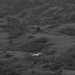 Air Station Kodiak conducts inland search and rescue training