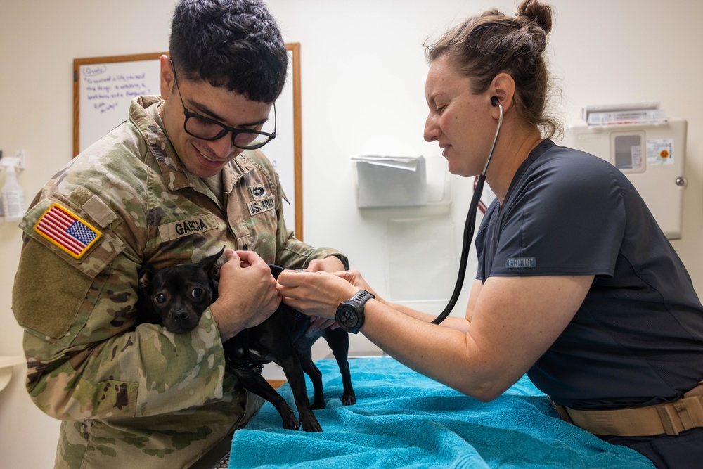 Camp Lejeune Veterinary Treatment Facility Supports Readiness