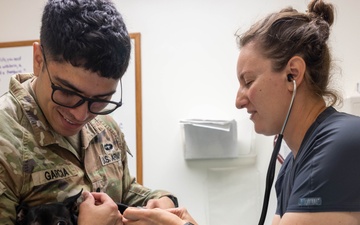 Camp Lejeune Veterinary Treatment Facility Supports Readiness