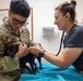 Camp Lejeune Veterinary Treatment Facility Supports Readiness
