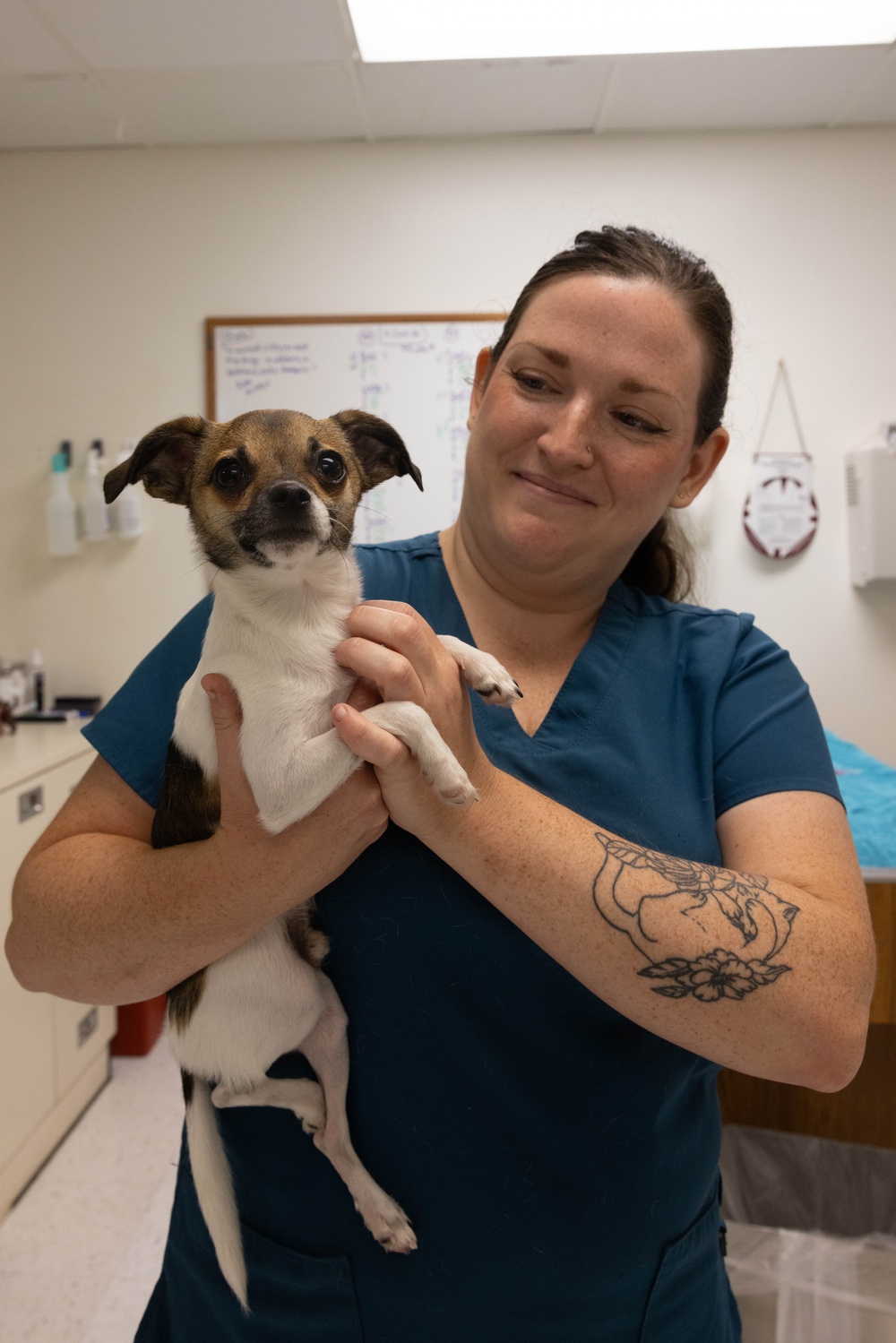 Camp Lejeune Veterinary Treatment Facility Supports Readiness